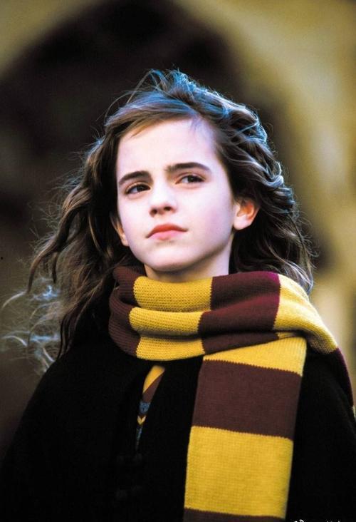 赫敏吃麻瓜,探索魔法与现实的味蕾交融