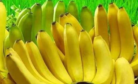 吃瓜香蕉节目,揭秘娱乐圈的甜蜜与苦涩