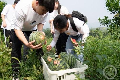 重庆吃瓜花店事件,一场网络热议背后的花店奇遇