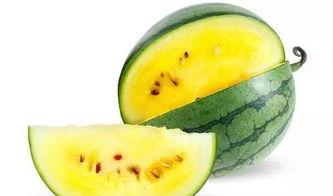 上海吃瓜地图,吃瓜群众的味蕾探险之旅