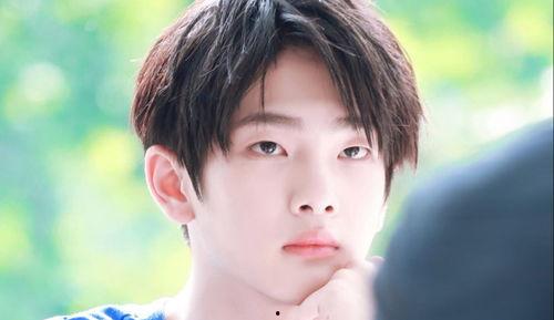 嘎嘎吃瓜小说5,揭秘小说5中的悬疑世界