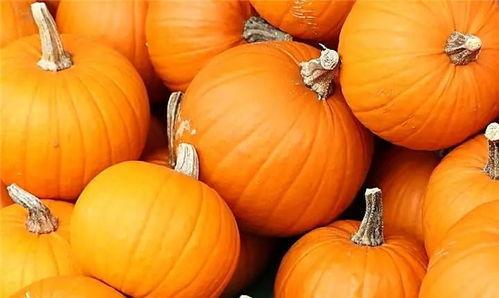 吃瓜不能停南瓜,揭秘瓜果界的跨界明星