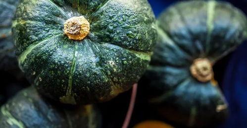 吃瓜金瓜,揭秘瓜界新宠儿的魅力与奥秘