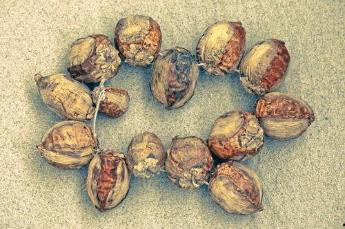 吃角瓜易得癌吗