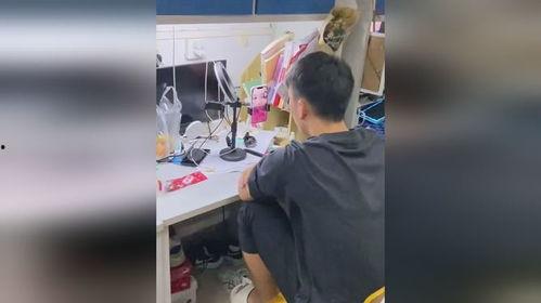 宿舍三男吃瓜,揭秘校园生活那些事儿